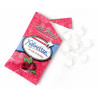 Dr. Bauer's Xylinetten Himbeere pastilės 60g (aviečių skonio)